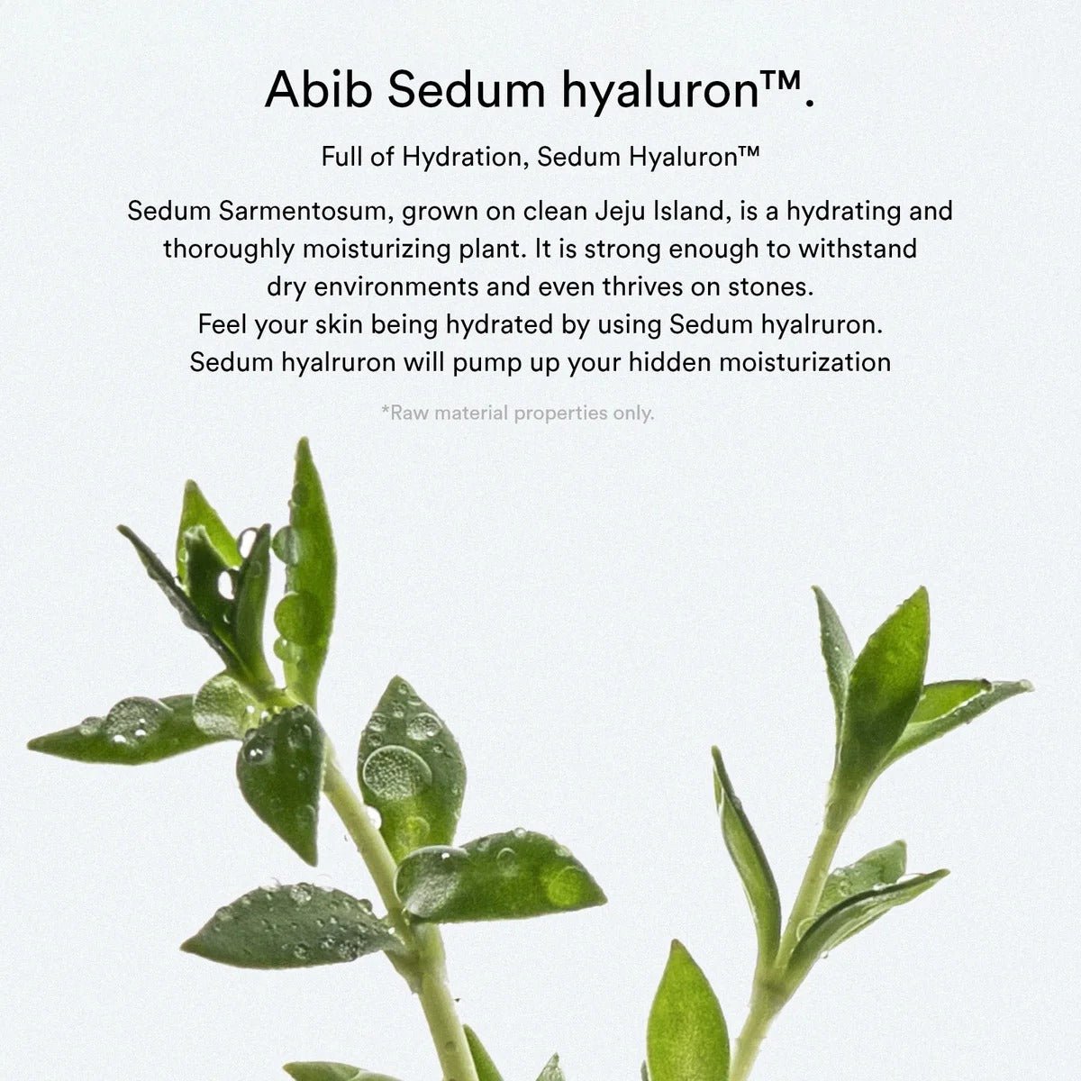 Abib - Sedum Hyaluron Pad Hydrating Touch - Skin Shine